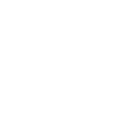 secure-1
