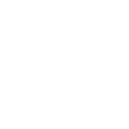 secure-2