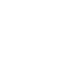 secure-3