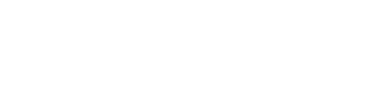 Netsarang Computer Logo