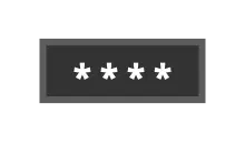 Password