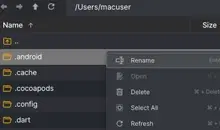 Local File Management